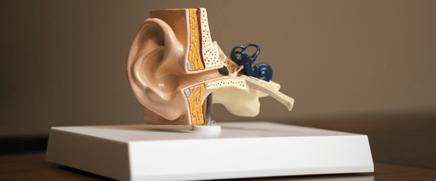 Les otites, un facteur de perte auditive. - Meilleur Audio